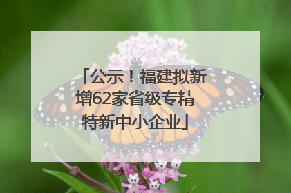 公示！福建拟新增62家省级专精特新中小企业