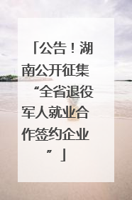公告！湖南公开征集“全省退役军人就业合作签约企业”