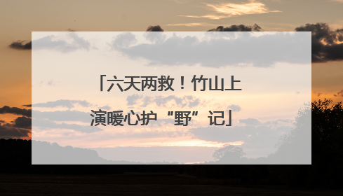 六天两救！竹山上演暖心护“野”记