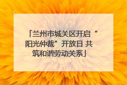 兰州市城关区开启“阳光仲裁”开放日 共筑和谐劳动关系