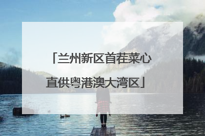 兰州新区首茬菜心直供粤港澳大湾区