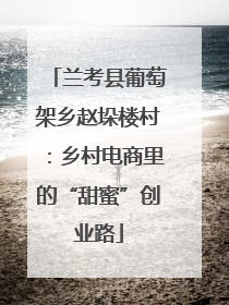 兰考县葡萄架乡赵垛楼村：乡村电商里的“甜蜜”创业路