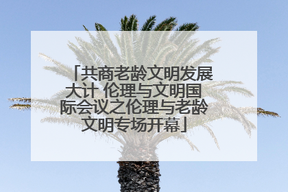 共商老龄文明发展大计 伦理与文明国际会议之伦理与老龄文明专场开幕