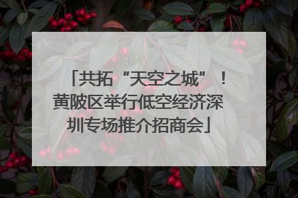共拓“天空之城”！黄陂区举行低空经济深圳专场推介招商会