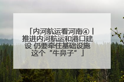 内河航运看河南④丨推进内河航运和港口建设 仍要牵住基础设施这个“牛鼻子”