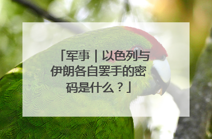 军事｜以色列与伊朗各自罢手的密码是什么？