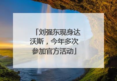 刘强东现身达沃斯，今年多次参加官方活动