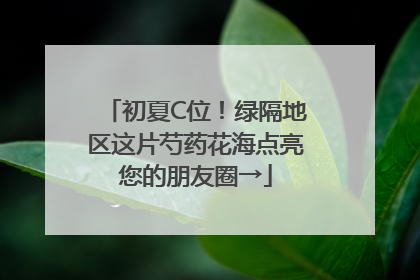 初夏C位！绿隔地区这片芍药花海点亮您的朋友圈→