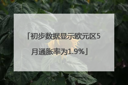 初步数据显示欧元区5月通胀率为1.9%