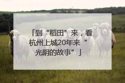 到“稻田”来，看杭州上城20年来“光阴的故事”