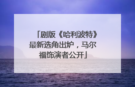 剧版《哈利波特》最新选角出炉，马尔福饰演者公开