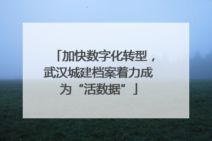 加快数字化转型，武汉城建档案着力成为“活数据”