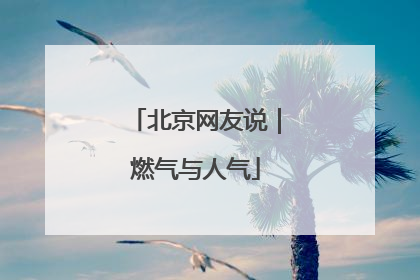 北京网友说｜燃气与人气