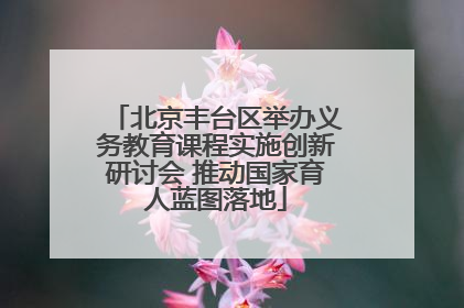 北京丰台区举办义务教育课程实施创新研讨会 推动国家育人蓝图落地