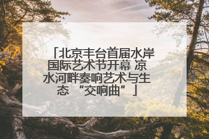 北京丰台首届水岸国际艺术节开幕 凉水河畔奏响艺术与生态 “交响曲”
