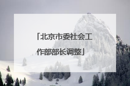 北京市委社会工作部部长调整