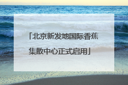 北京新发地国际香蕉集散中心正式启用