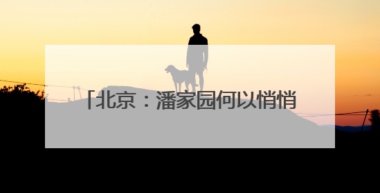 北京：潘家园何以悄悄成为年轻人心头好？