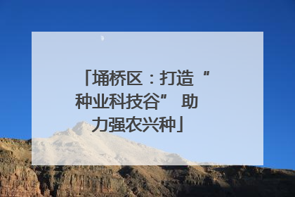 埇桥区：打造“种业科技谷” 助力强农兴种