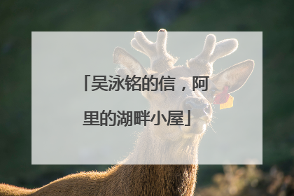 吴泳铭的信，阿里的湖畔小屋