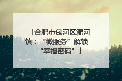 合肥市包河区淝河镇：“微服务”解锁“幸福密码”