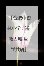 合肥市杏林小学：送教古城 互学共研
