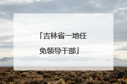 吉林省一地任免领导干部