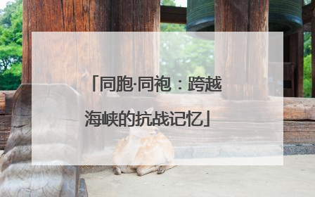 同胞·同袍：跨越海峡的抗战记忆
