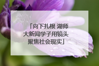 向下扎根 湖师大新闻学子用镜头聚焦社会现实