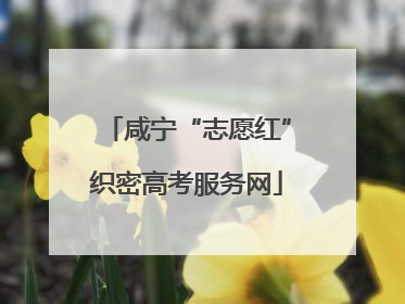 咸宁“志愿红”织密高考服务网