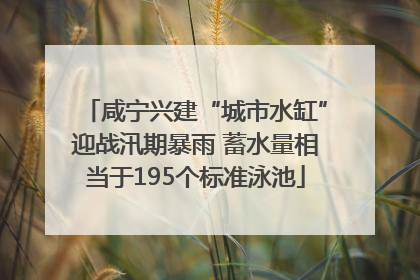 咸宁兴建“城市水缸”迎战汛期暴雨 蓄水量相当于195个标准泳池