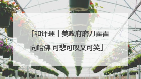 和评理丨美政府磨刀霍霍向哈佛 可悲可叹又可笑