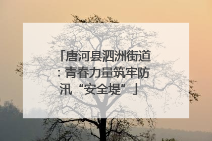 唐河县泗洲街道：青春力量筑牢防汛“安全堤”