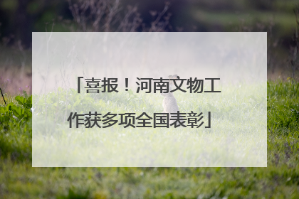 喜报！河南文物工作获多项全国表彰