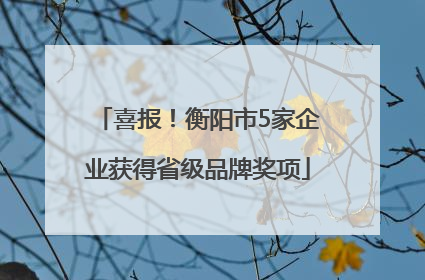 喜报！衡阳市5家企业获得省级品牌奖项