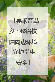 嘉禾普满乡：整治校园周边环境 守护学生安全