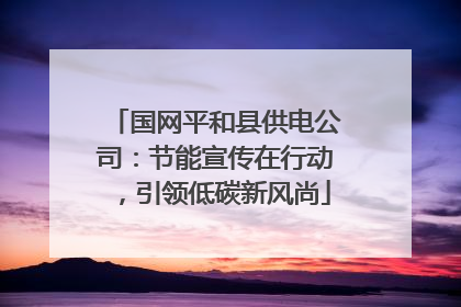 国网平和县供电公司：节能宣传在行动，引领低碳新风尚