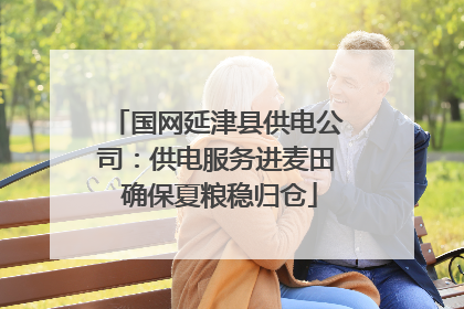 国网延津县供电公司：供电服务进麦田 确保夏粮稳归仓