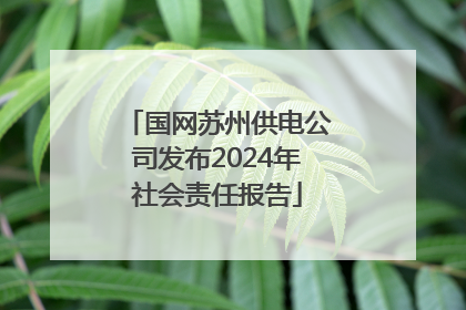 国网苏州供电公司发布2024年社会责任报告