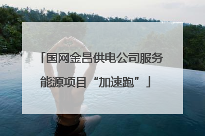 国网金昌供电公司服务能源项目“加速跑”