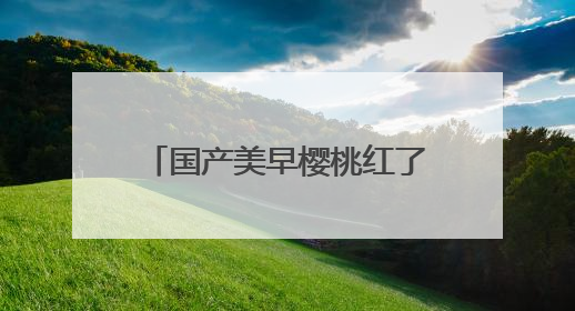 国产美早樱桃红了！今年价格更亲民