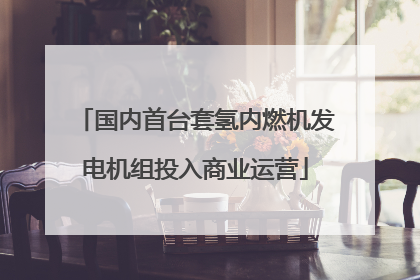 国内首台套氢内燃机发电机组投入商业运营