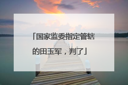 国家监委指定管辖的田玉军，判了