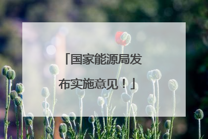 国家能源局发布实施意见！