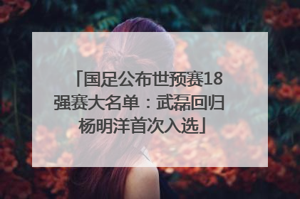 国足公布世预赛18强赛大名单：武磊回归 杨明洋首次入选