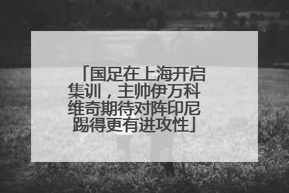 国足在上海开启集训，主帅伊万科维奇期待对阵印尼踢得更有进攻性
