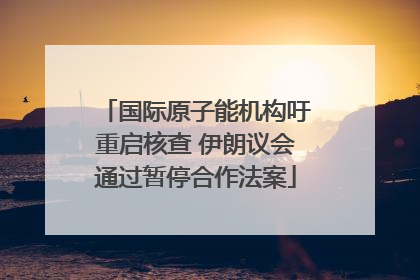 国际原子能机构吁重启核查 伊朗议会通过暂停合作法案