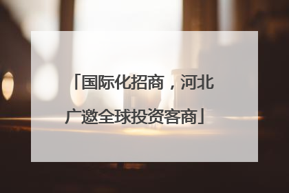 国际化招商，河北广邀全球投资客商