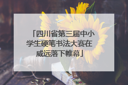 四川省第三届中小学生硬笔书法大赛在威远落下帷幕