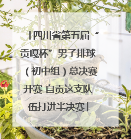 四川省第五届“贡嘎杯”男子排球（初中组）总决赛开赛 自贡这支队伍打进半决赛